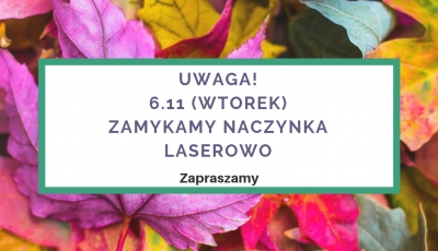 Salon kosmetyczny VENUS - Laserowe zamykanie naczynek
